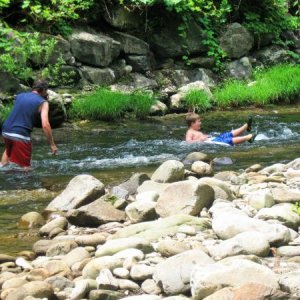 Tubing in the Little River behind campsite.