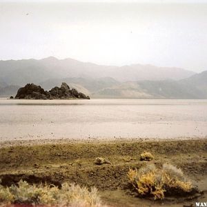 The Grand Stand with the Devil's Race Track under water