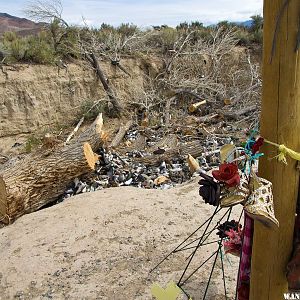 Shoe Tree