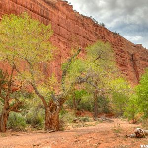 Burr Trail -- Long Canyon