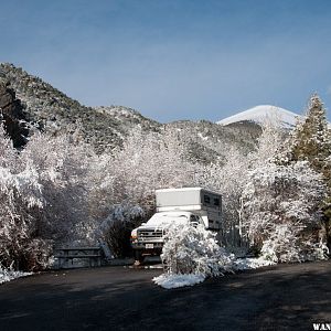 Snow-Flocked Campground