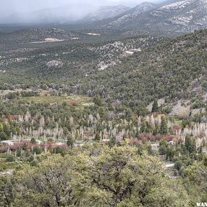 View of the Campground from the Wheeler Peak Rd.