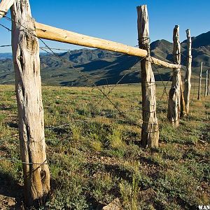 Ridge Fence Line