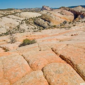 View West from Summit of Yellow Rock