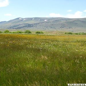 Sheldon National Wildlife Refuge, nevada