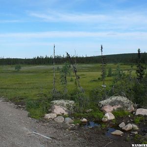 Bog  Port Hope Simpson to Goose Bay.JPG