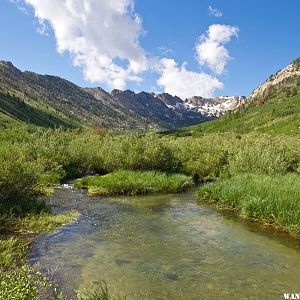 Lamoille Canyon