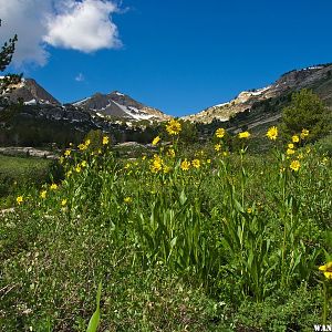 Lamoille Canyon