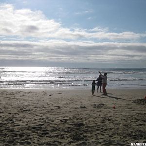 Playing on the beach