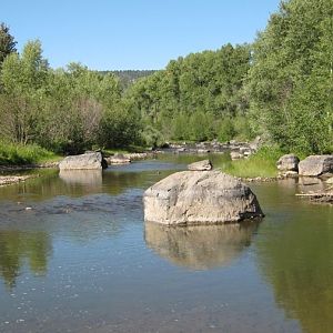 A nice little trout stream