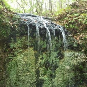 Water Fall at Falling Waters State Park Florida. Campground was bad did not stay there.