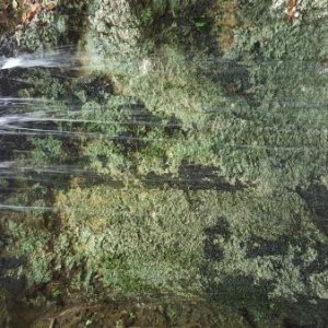 Water Fall at Falling Waters State Park Florida.