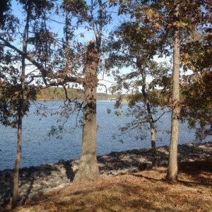 Campsites have awesome views overlooking the Lake.