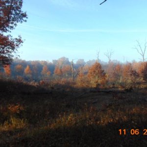 Pinery Provincial Park .... this is where there was a prescribed burn some years back