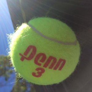 Capped the rain gutters with a tennis ball before covering the trailer for the winter!