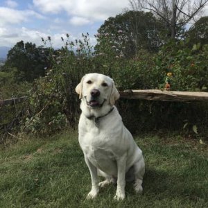 Cooper posing for the camera.