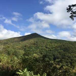 Blue Ridge Parkway - MP 372