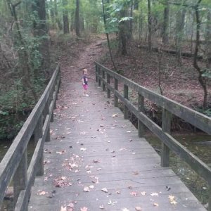 Hiking trail bridge