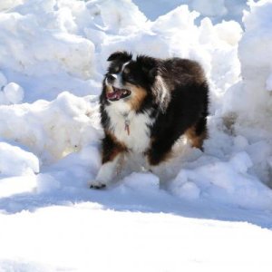 Getting ready to catch a snowball!