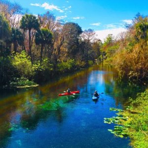 kayak silver springs