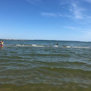 East Harbor SP Beach - Lake Erie Looking East
These pictures are from our August 20th, 2020 trip. Wish I had more pictures from EHSP, very nice facili