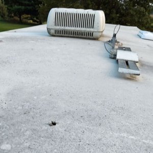 Looking at the roof before washing it late September. I see a perfectly round 3/4" hole about 3 feet from the rear of the trailer. Looks like someone 