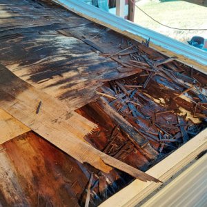 The plywod sheathing is saturated with water. Mysterious because the saturation extends well "uphill" from the caulked and re-caulked termination bar 