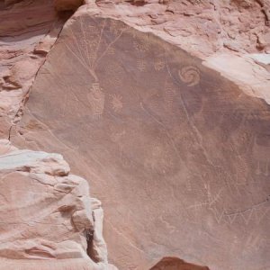 Petroglyphs in the Cub Creek area which is part of the Tour of the Tilted Rocks Auto Tour - Dinosaur National Monument, Jensen, UT