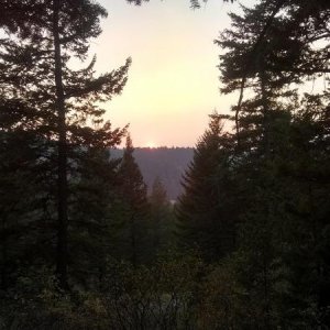 Sunset through the trees at the back of our campsite - Scout Mountain Campground, Pocatello, ID