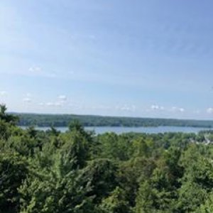 View from atop the observation tower accessible from one of the hiking trails through the Atwood Lake woods.