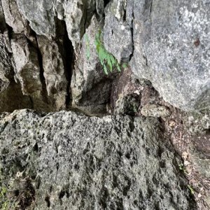 Table Mound Hiking Trail, Elk City Lake