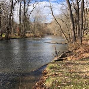 Mohican State Park Campground (MSPC) looking west up the Clear Fork Branch of the Mohican River. Saw two trout fishermen this late November day.