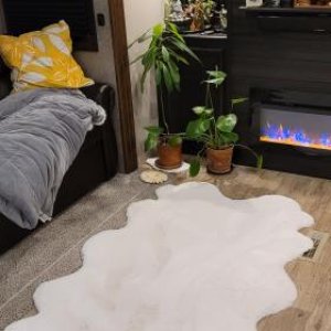 Big sheepskin rug in front of the fireplace. Costco for the win!