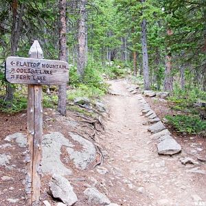 Fern Lake Trail