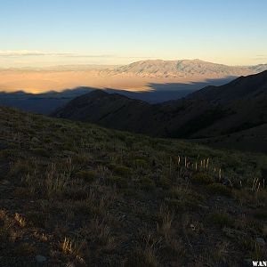 Toiyabe Range Evening Shadows