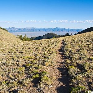 Climbing to the Toiyabe Crest