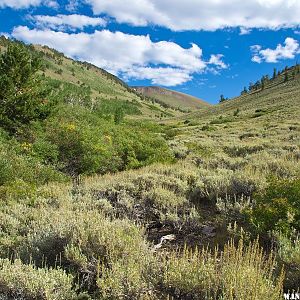 Stewart Creek Drainage