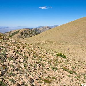 Along the Toiyabe Crest