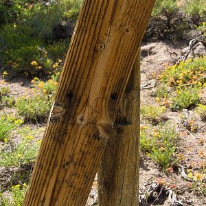 Old Trail Sign