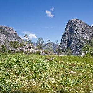 Hetch Hetchy Valley