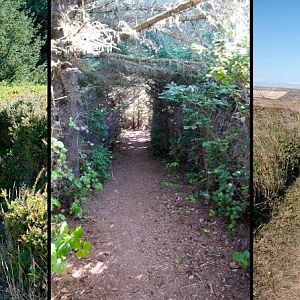 Cliff-Top Trail