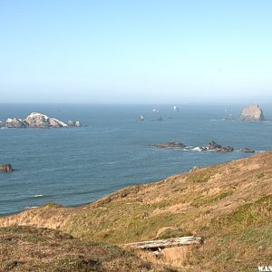 Rocky bay, looking north from Cape Blanco