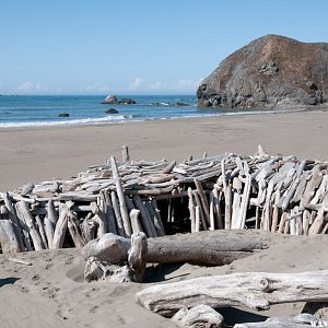 Driftwood Structure