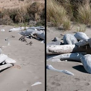 Driftwood Outbuildings