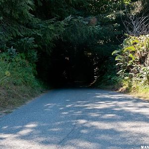 A living tunnel