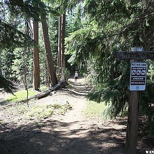 Deer Lake Trail