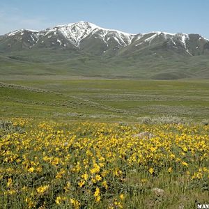 Bull Run Basin & Mountains