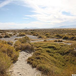 Black Rock Hot Springs