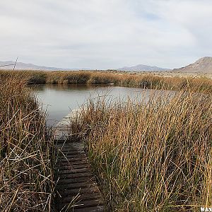 Black Rock Hot Springs