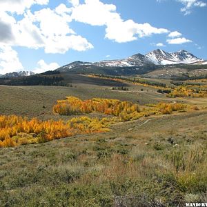 Eastern sierras fall colors